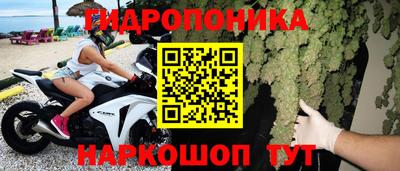 крисы Донской