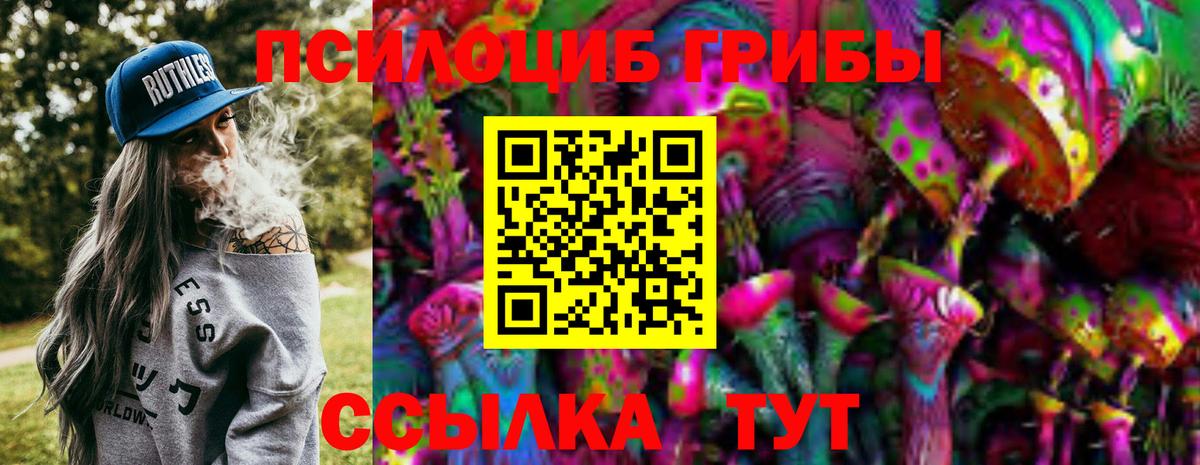 Галлюциногенные грибы Cubensis  Галлюциногенные грибы Psilocybine cubensis  Вичуга  Вход с VPN 