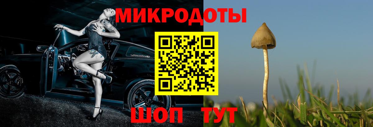 Галлюциногенные грибы мицелий Вичуга